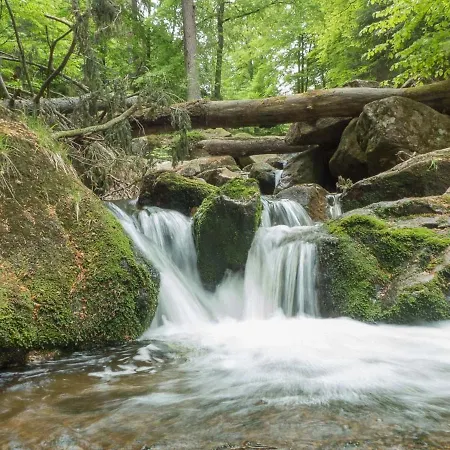 Hirsch Gretel - Garten Mit Grill - Wald *
