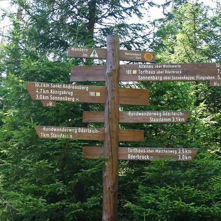 Hirsch Gretel - Garten Mit Grill - Wald * Altenau